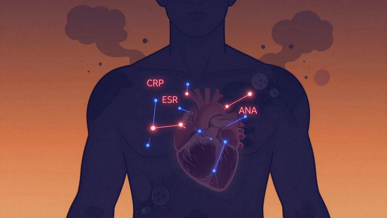 Autoimmune Disease Monitoring: Lab Markers, Imaging, and Visits