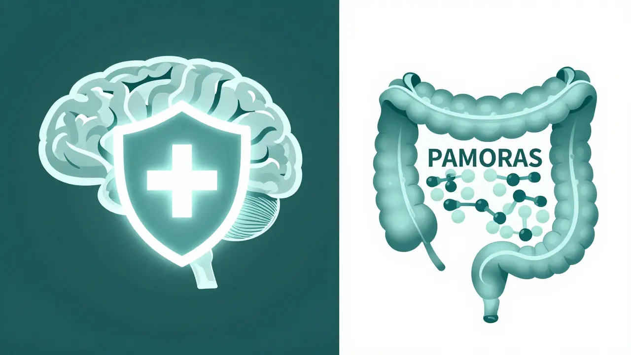 Duotone illustration showing PAMORAs unlocking gut receptors while pain relief remains in the brain.