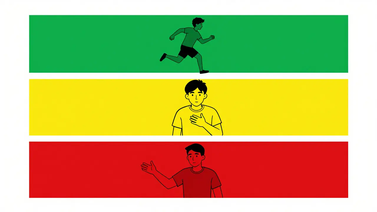 Green, yellow, and red duotone graphic of an asthma action plan zones