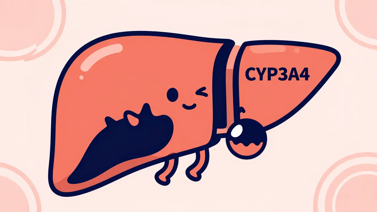 Cyclosporine Drug Interactions: Understanding CYP3A4 Inhibition